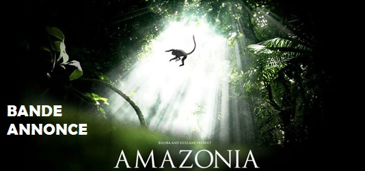 amazoniaBA