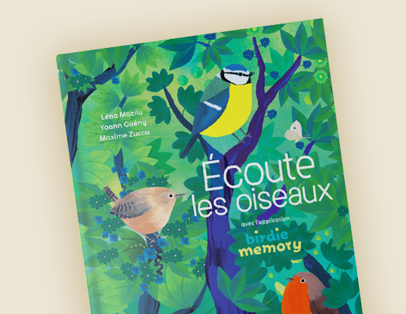 Exposition autres éléments oiseaux activité livre birdie memory