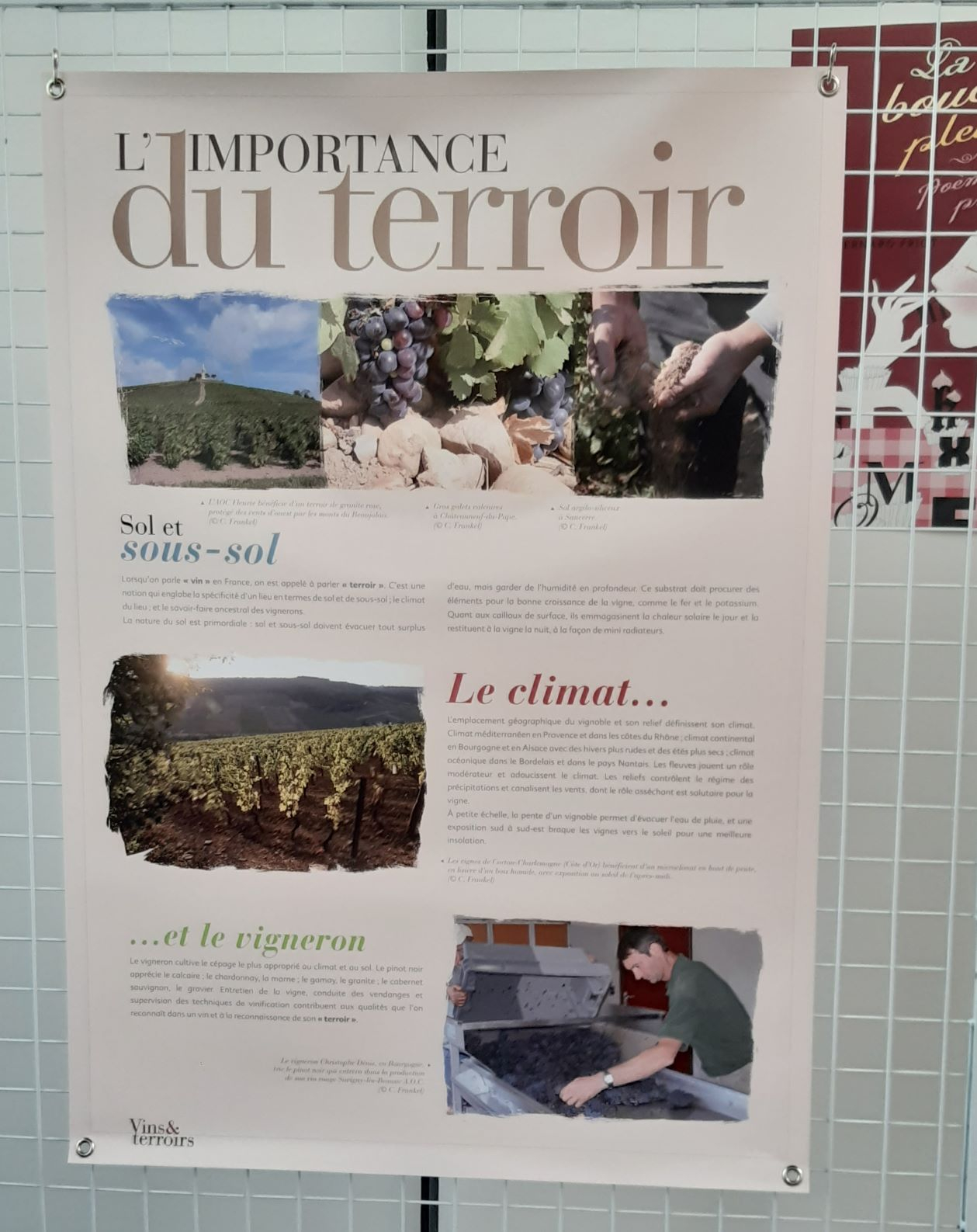 Expo vinterroirs 3