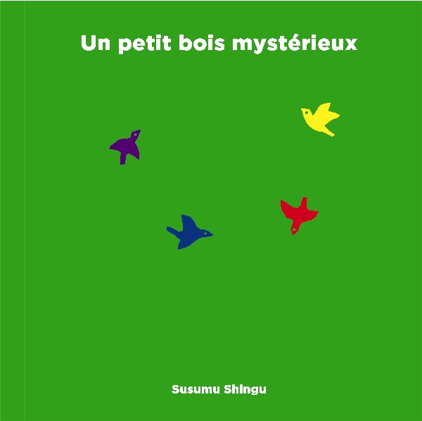 petit bois mysterieux couv