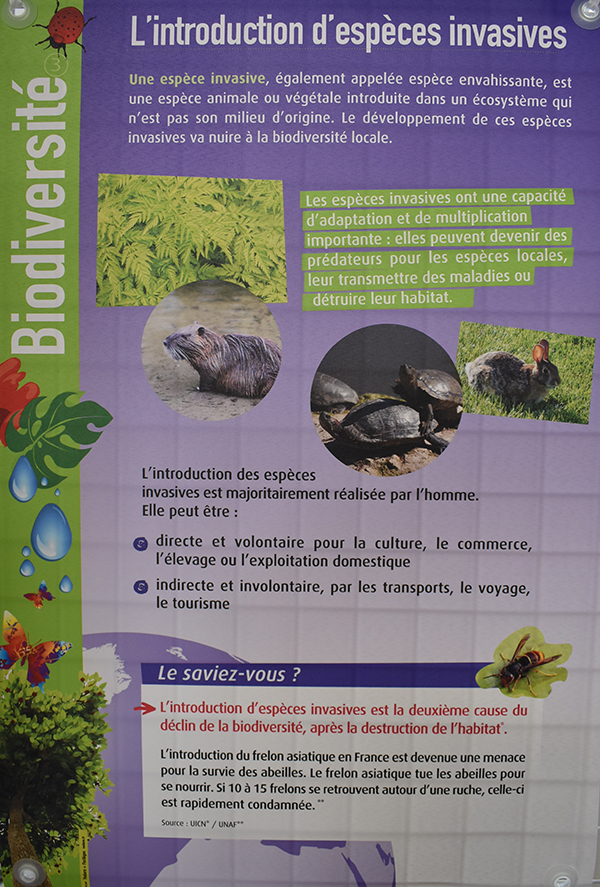 expo biodiversite portail4