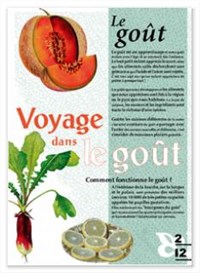 voyage autour du gout