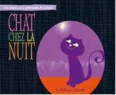 chat chez la nuit